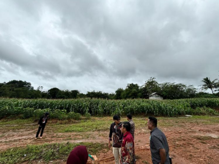 Pusat Pengolahan Tani Jagung